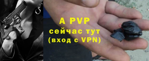 apvp Бородино