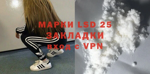 apvp Бородино