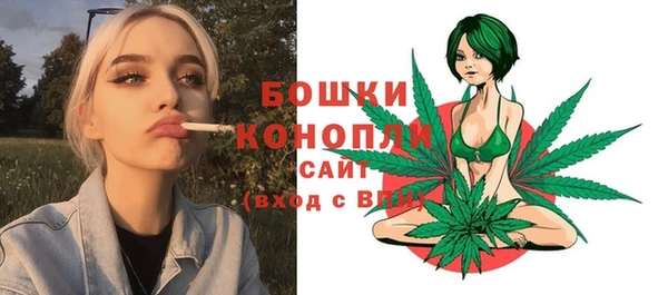 Альфа ПВП Богородск