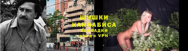 apvp Бородино