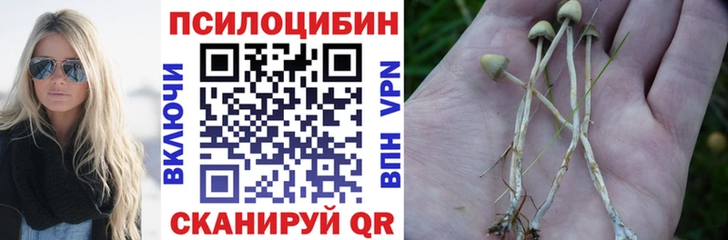 OMG зеркало  Шиханы  Галлюциногенные грибы мухоморы  купить закладку 